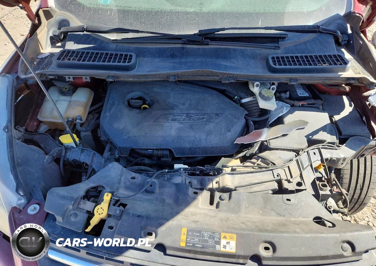 2014 Ford Escape Se VIN:1FMCU0GX5EUD02724 - 11