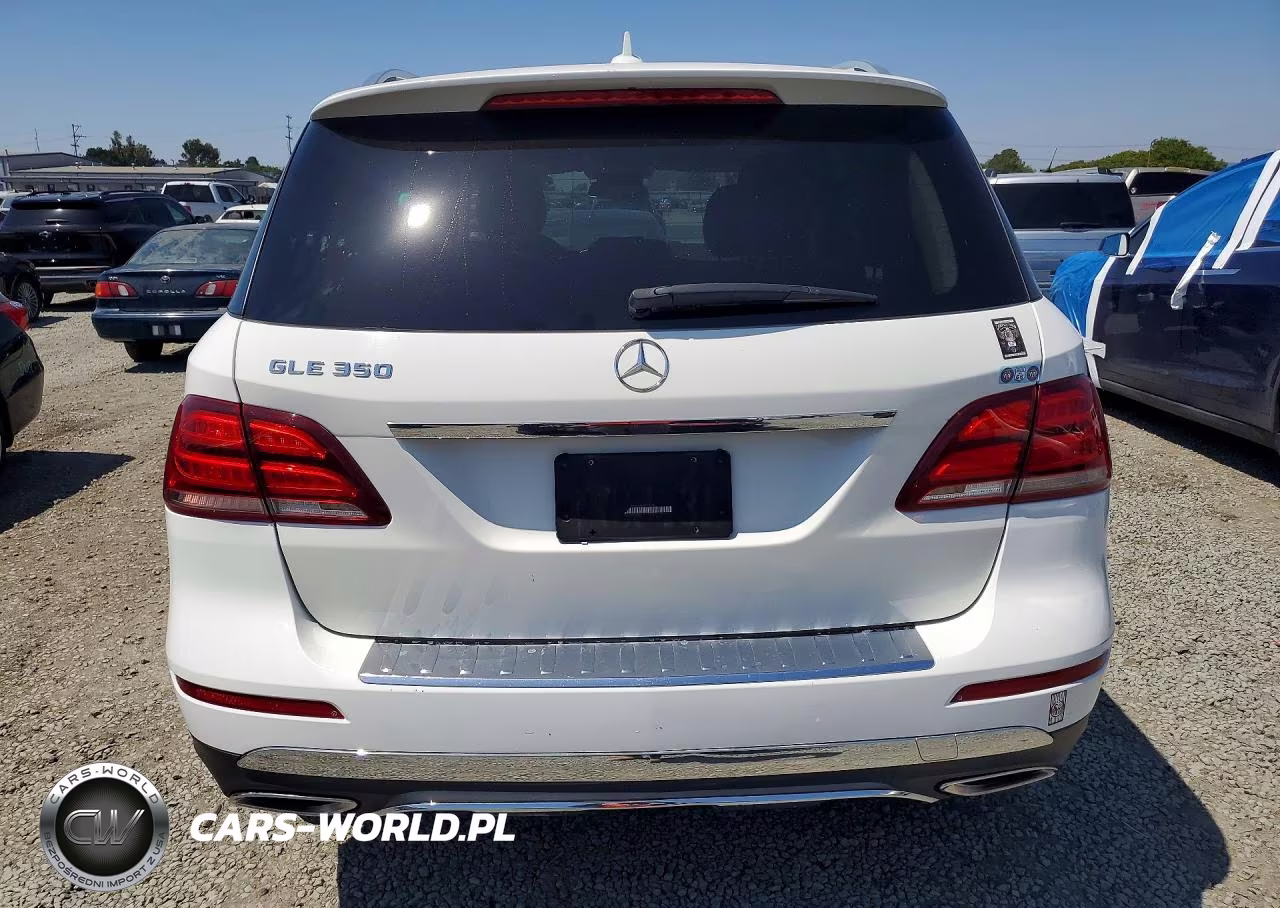 2017 Mercedes-Benz Gle 350 VIN:4JGDA5JB4HA843518 - 6