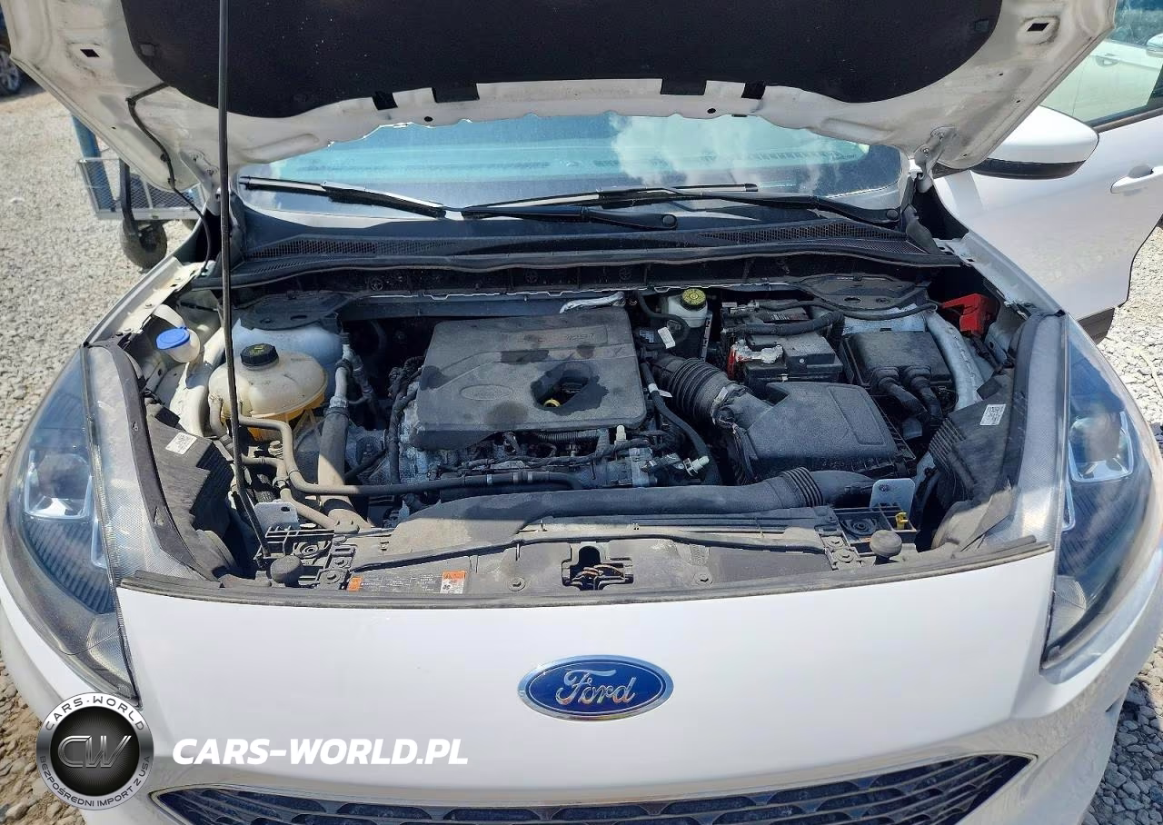 2020 Ford Escape Se VIN:1FMCU0G69LUB29522 - 12