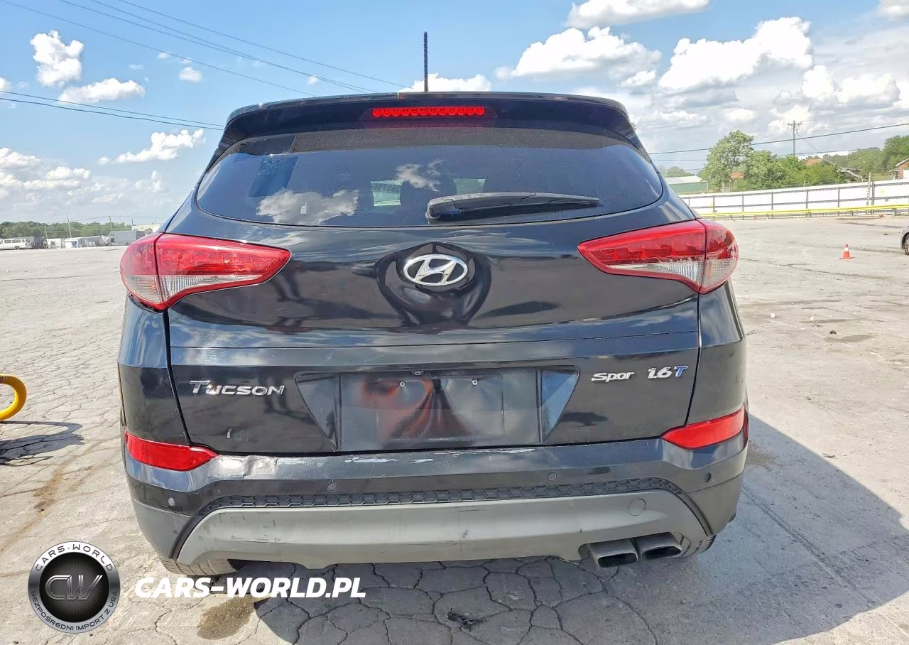 2016 Hyundai Tucson Sport VIN:KM8J33A27GU074561 - 6