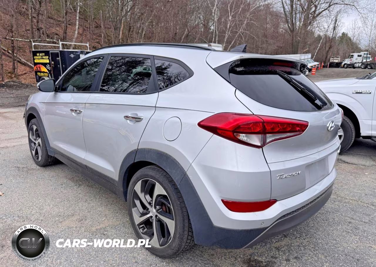 2016 Hyundai Tucson Limited VIN:KM8J3CA25GU118685 - 3