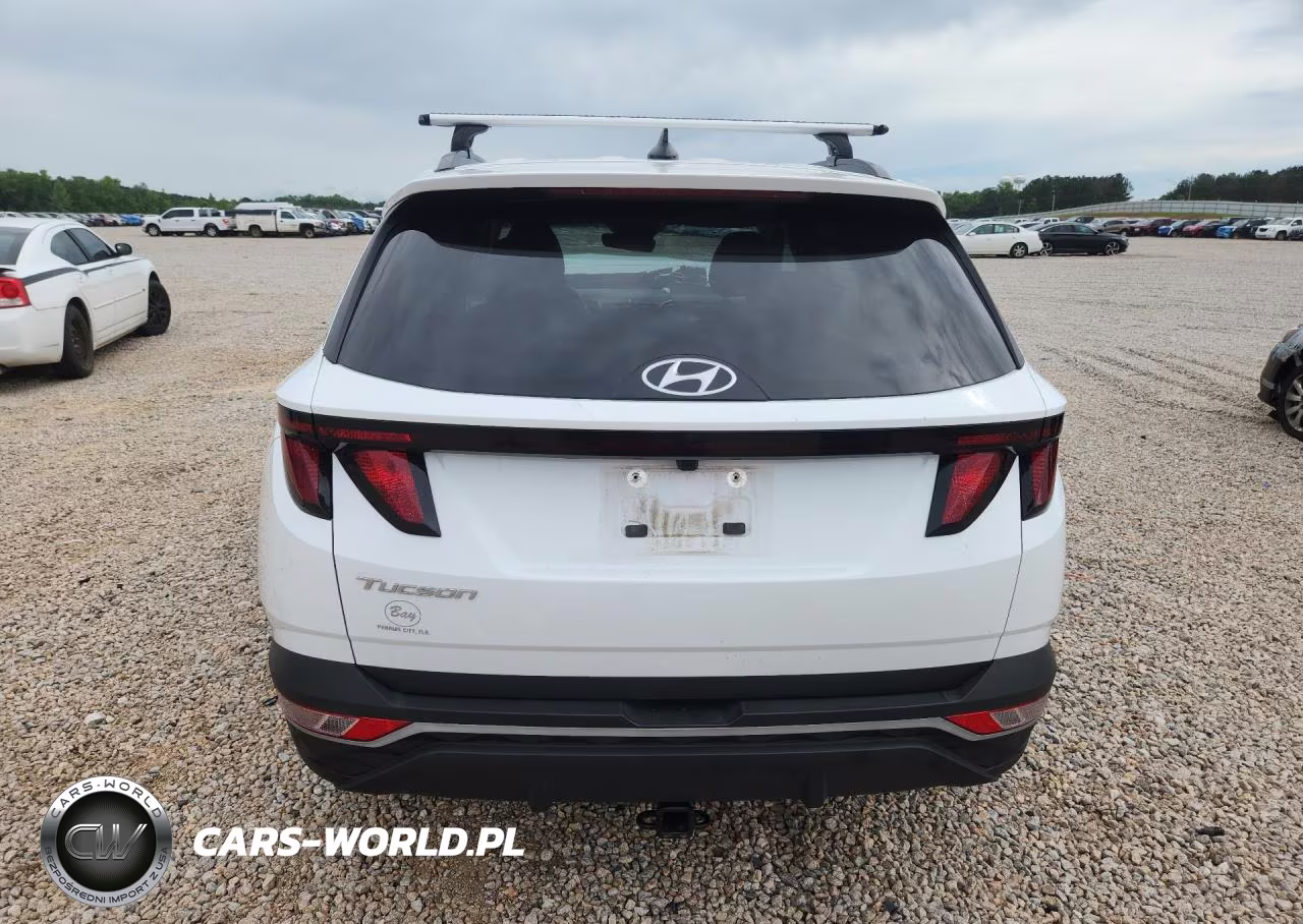 2024 Hyundai Tucson Sel VIN:KM8JB3DE0RU293213 - 6
