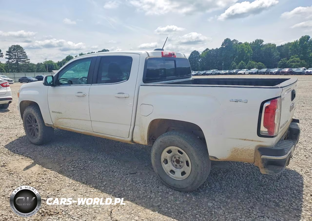 2020 GMC Canyon At4 Crew Cab 4Wd VIN:1GTG6CEN6L1135615 - 2