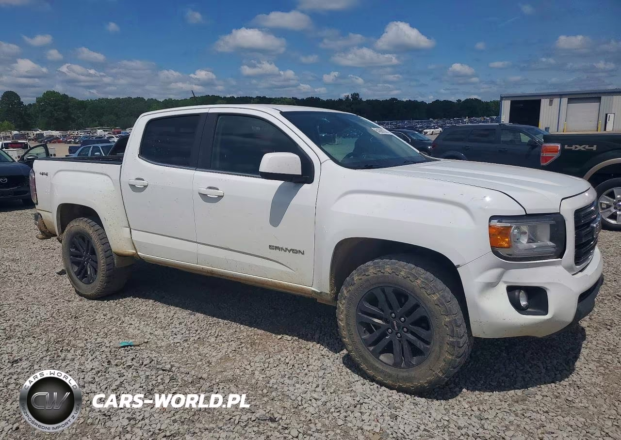 2020 GMC Canyon At4 Crew Cab 4Wd VIN:1GTG6CEN6L1135615 - 4