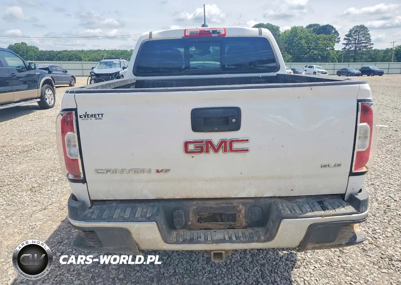 2020 GMC Canyon At4 Crew Cab 4Wd VIN:1GTG6CEN6L1135615 - 6
