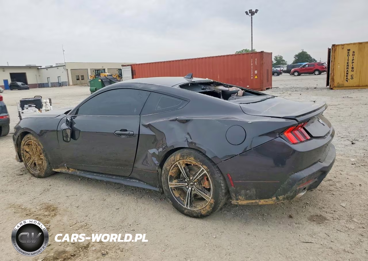 2024 Ford Mustang VIN:1FA6P8TH2R5111905 - 2