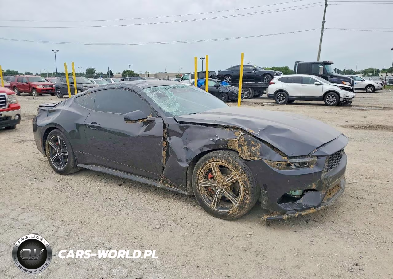 2024 Ford Mustang VIN:1FA6P8TH2R5111905 - 4