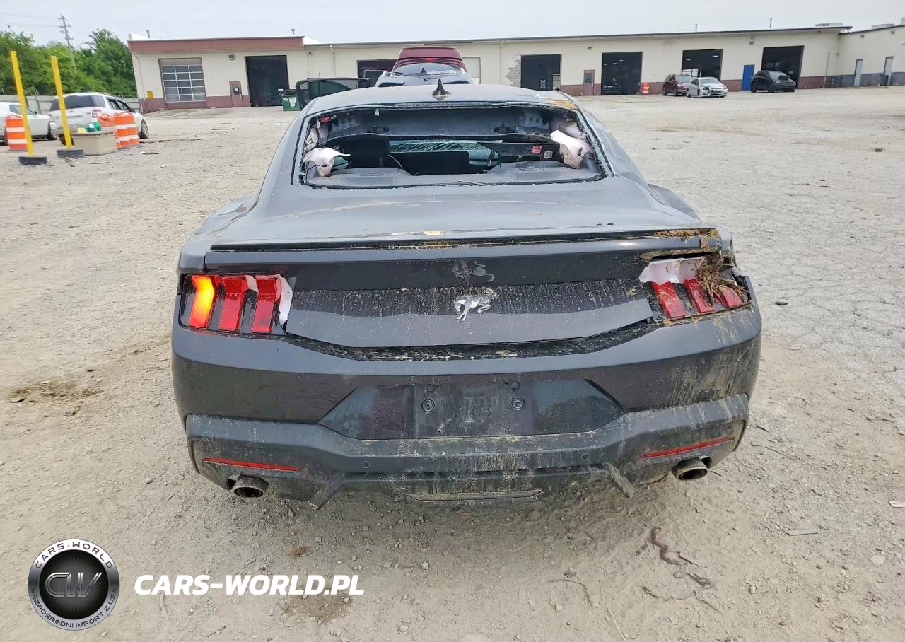 2024 Ford Mustang VIN:1FA6P8TH2R5111905 - 6