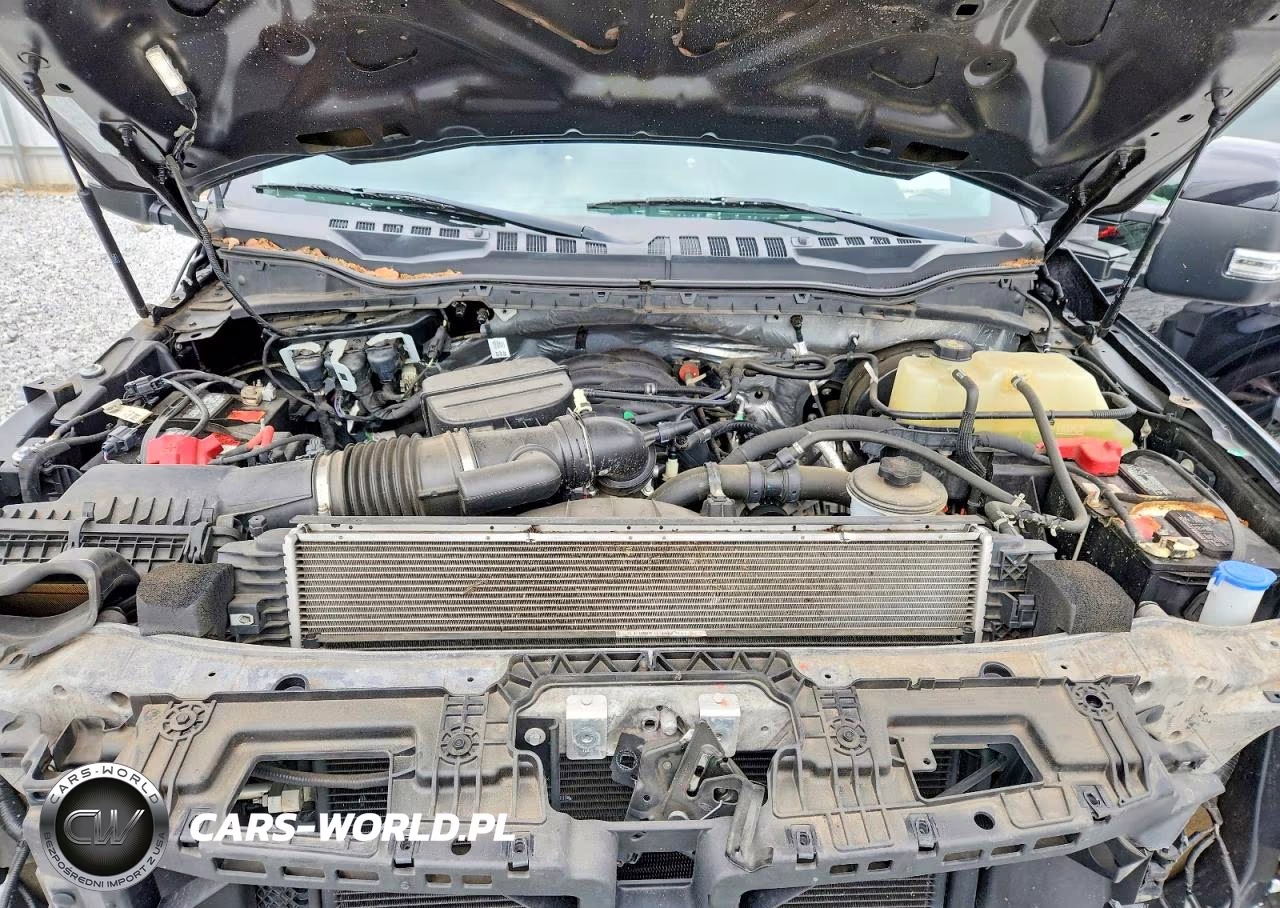 2020 Ford F250 Super Duty VIN:1FT7W2BNXLEC29052 - 11