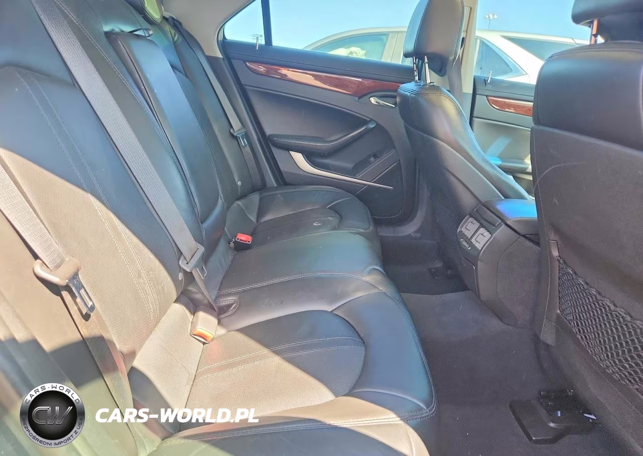 2010 Cadillac Cts Luxury Collection VIN:1G6DG5EG1A0130051 - 10