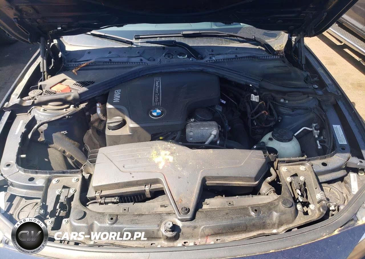 2013 BMW 328 Xi Sulev VIN:WBA3B5C53DF593624 - 11