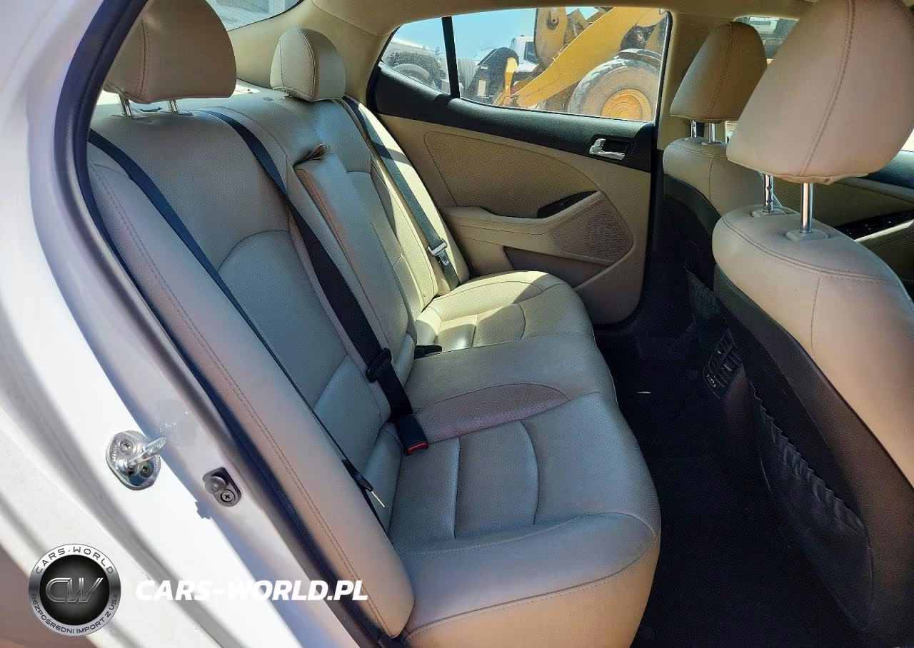 2015 Kia Optima Ex VIN:5XXGN4A72FG413080 - 10
