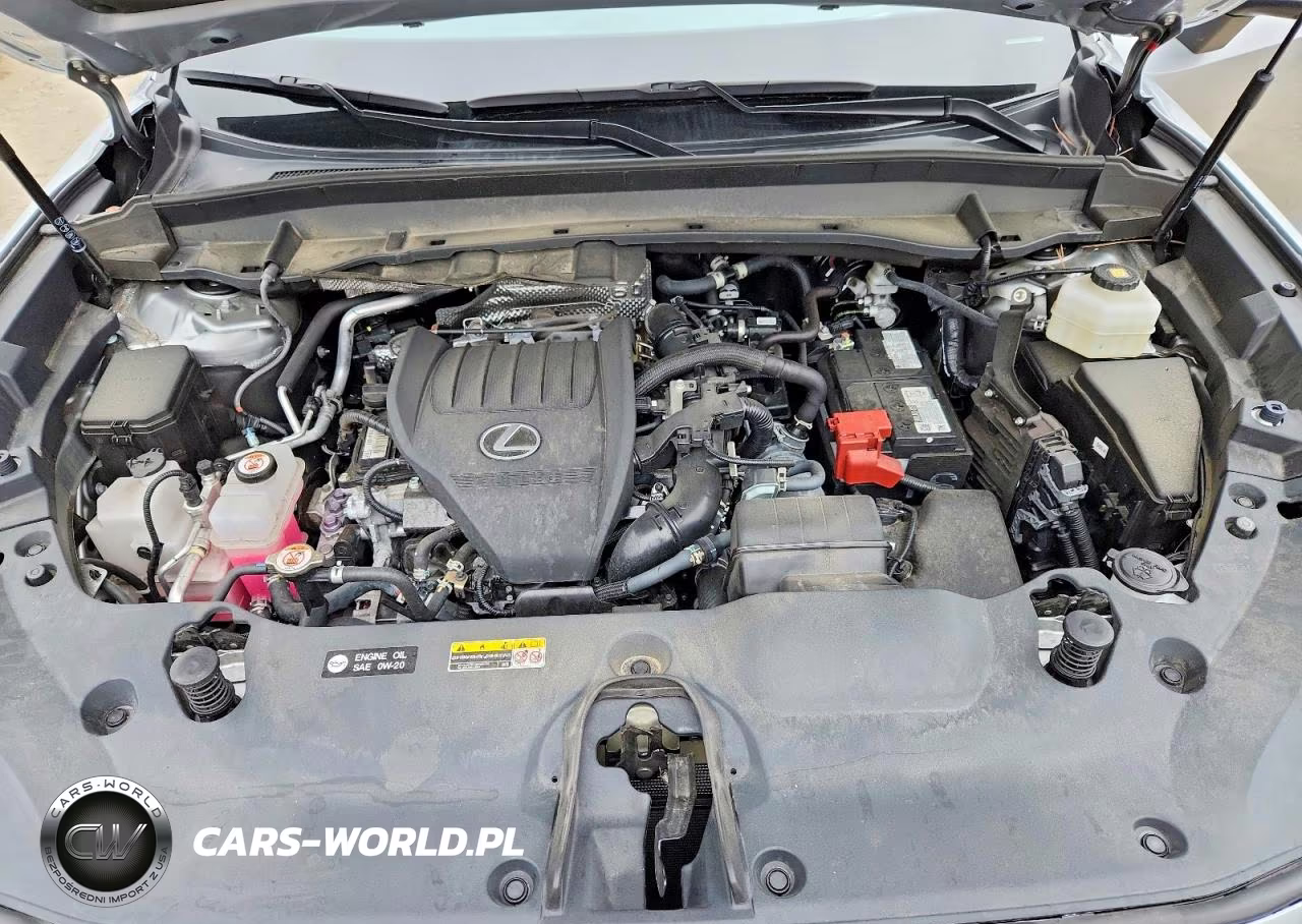 2024 Lexus Tx 350 Luxury VIN:5TDAAAA60RS007146 - 12