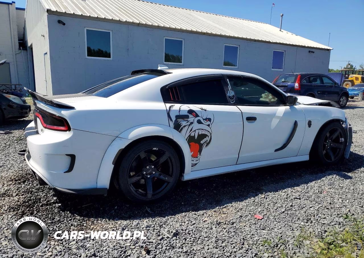 2019 Dodge Charger Gt VIN:2C3CDXHG1KH608138 - 3