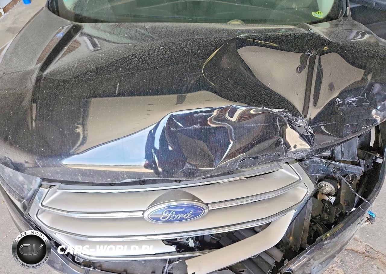 2016 Ford Edge Se VIN:2FMPK3G90GBB51195 - 11