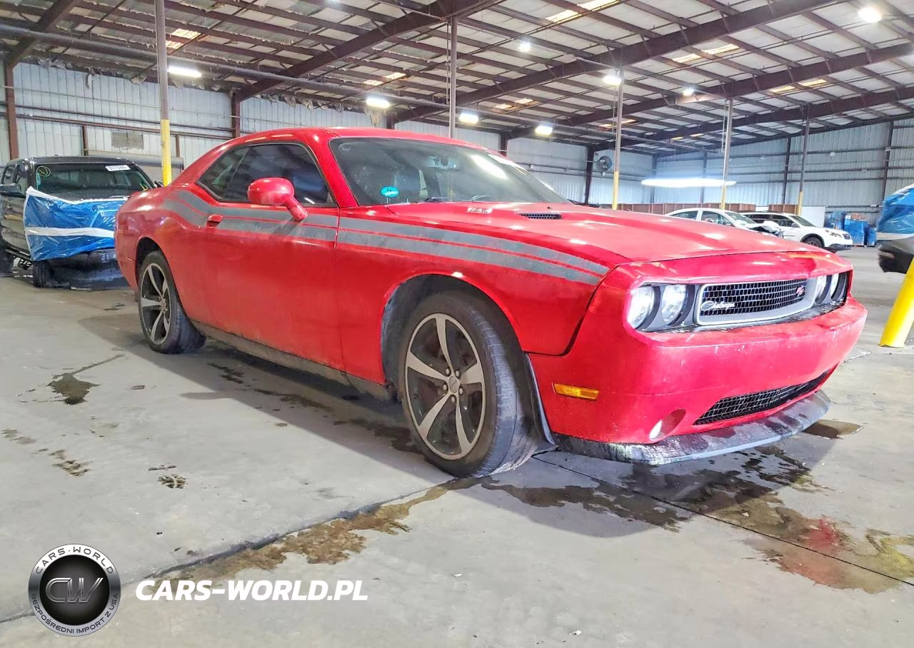 2014 Dodge Challenger R VIN:2C3CDYBT7EH306451 - 4