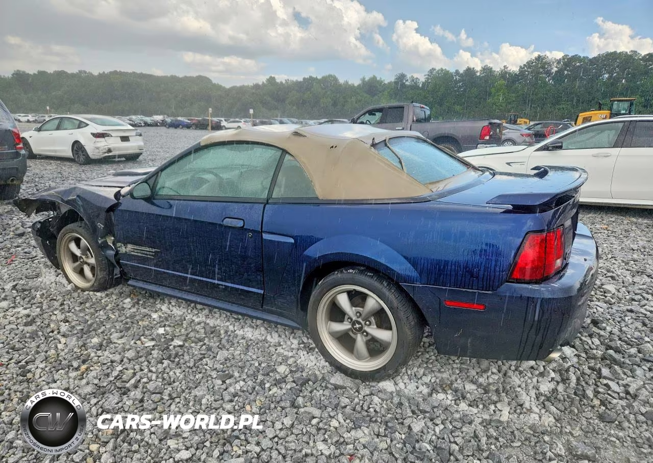 2002 Ford Mustang Gt VIN:1FAFP45X22F161541 - 2