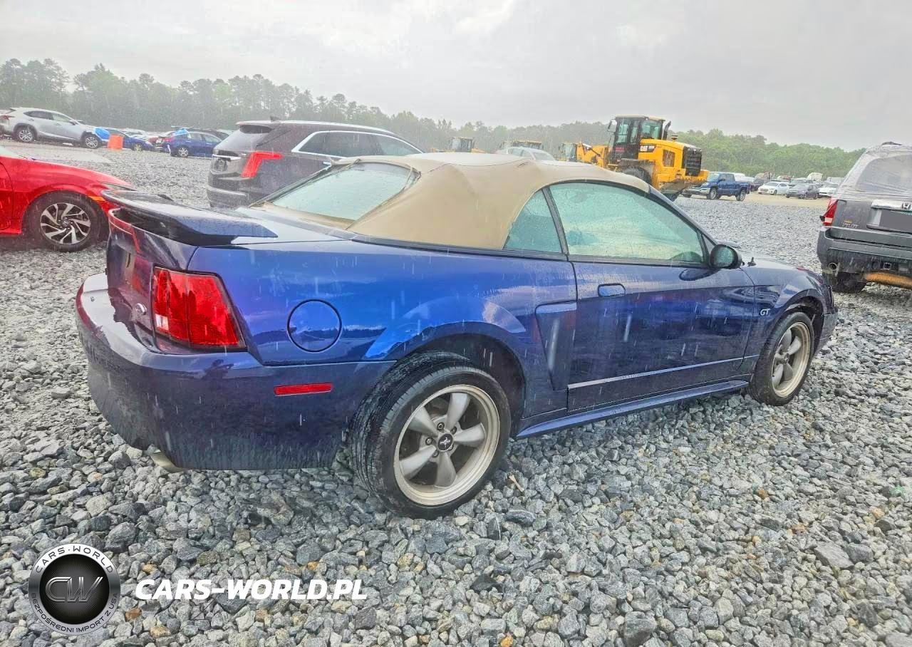2002 Ford Mustang Gt VIN:1FAFP45X22F161541 - 3