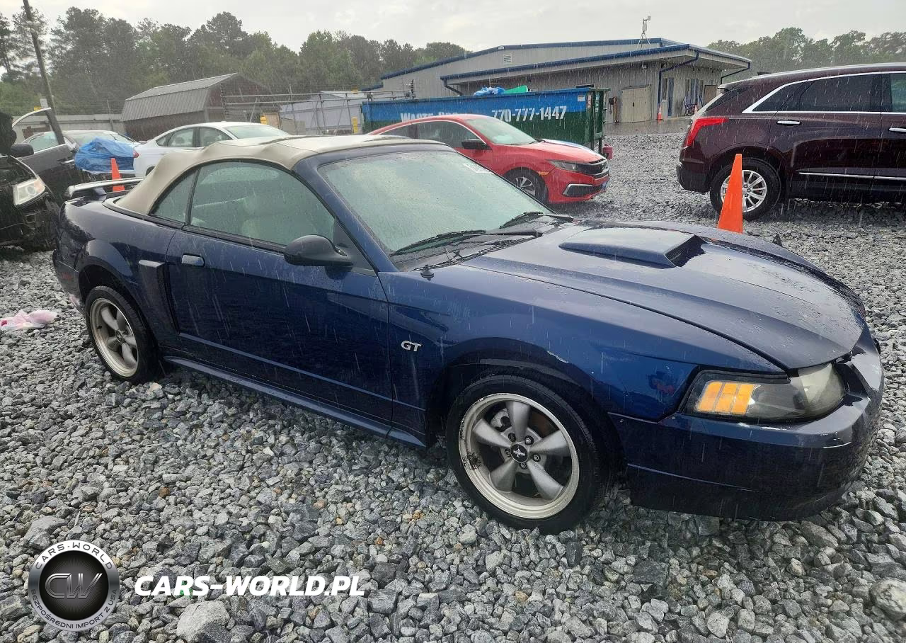 2002 Ford Mustang Gt VIN:1FAFP45X22F161541 - 4