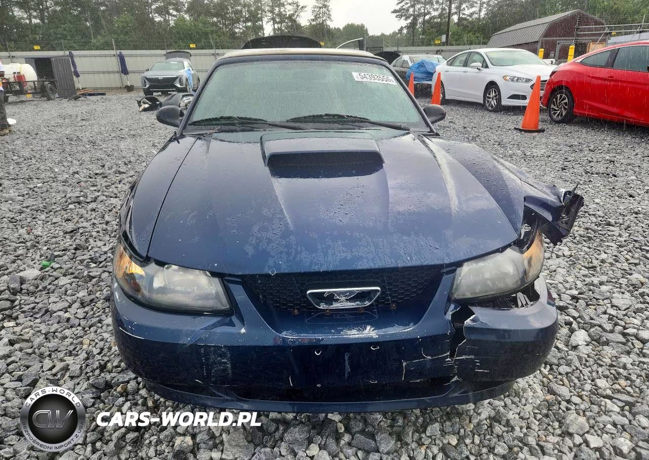 2002 Ford Mustang Gt VIN:1FAFP45X22F161541 - 5