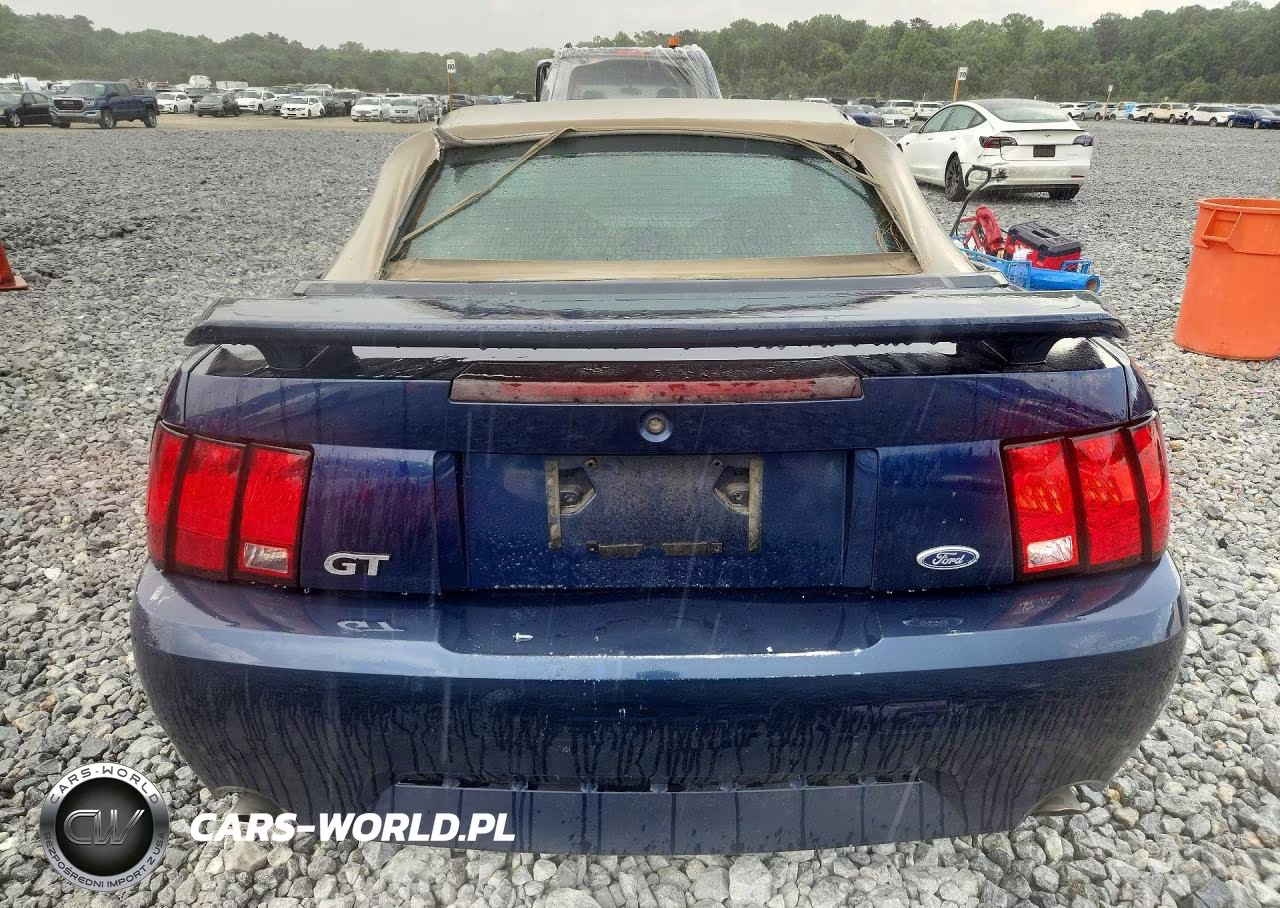 2002 Ford Mustang Gt VIN:1FAFP45X22F161541 - 6