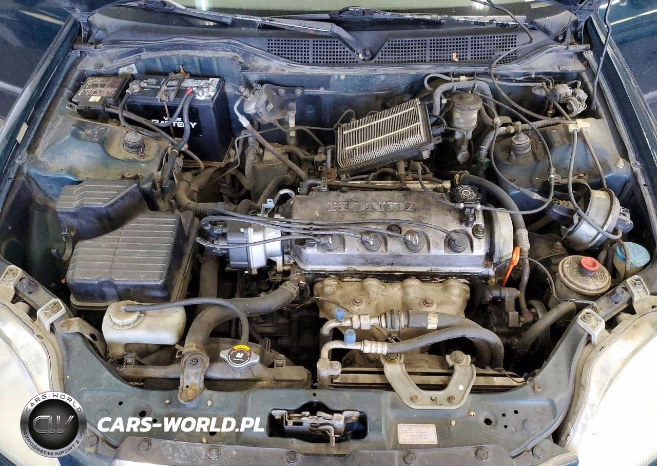 1998 Honda Civic Lx VIN:1HGEJ6673WL054976 - 11