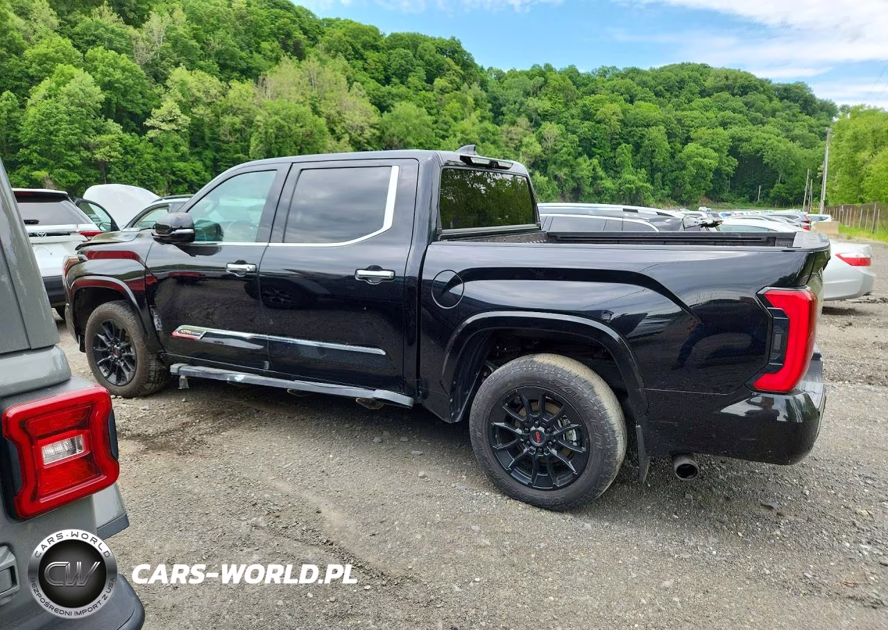 2024 Toyota Tundra 1794 Edition Hv VIN:5TFMC5DB8RX058718 - 2