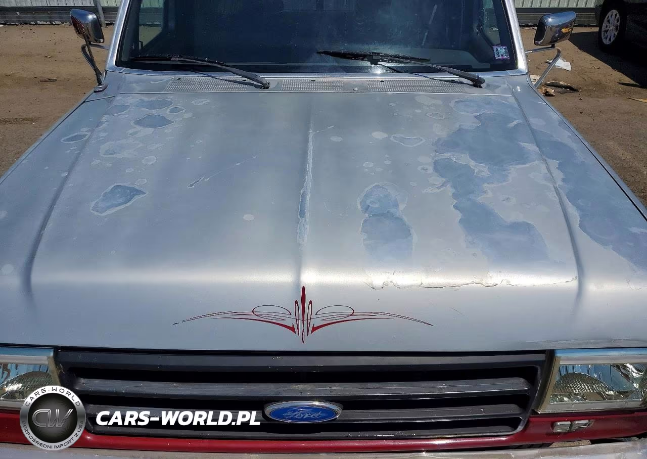 1991 Ford F150 VIN:1FTDF15Y5MNA07796 - 11