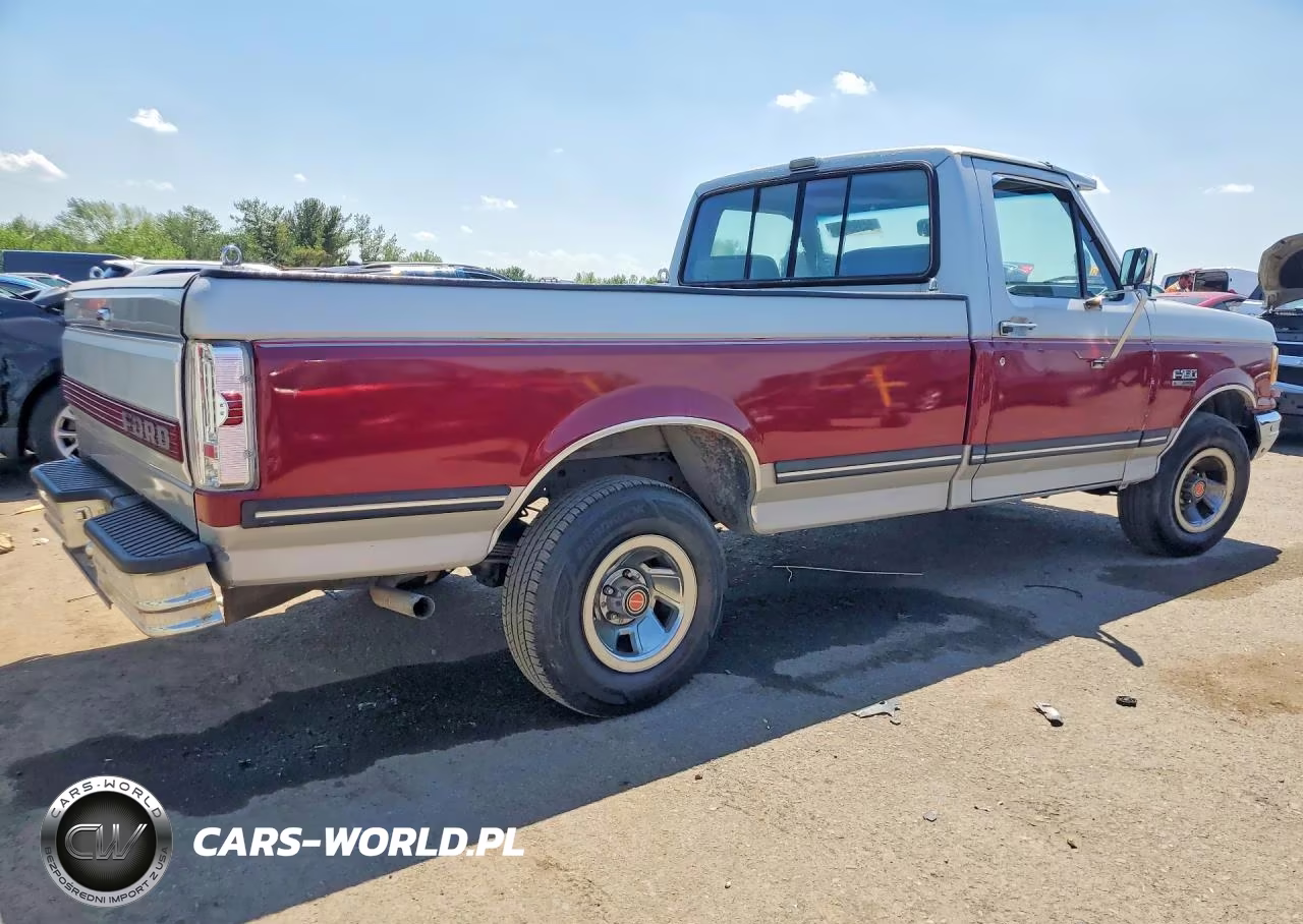 1991 Ford F150 VIN:1FTDF15Y5MNA07796 - 3