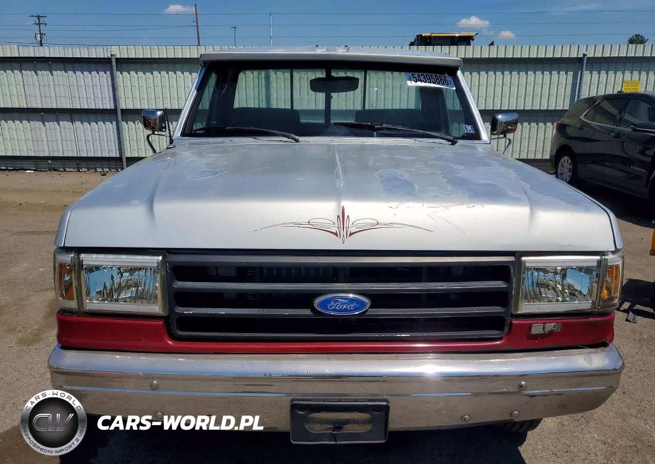 1991 Ford F150 VIN:1FTDF15Y5MNA07796 - 5