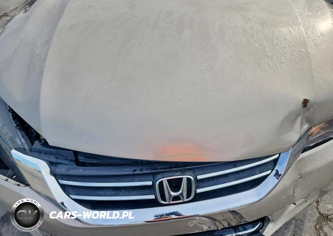2013 Honda Accord Exl VIN:1HGCR2F87DA249036 - 11