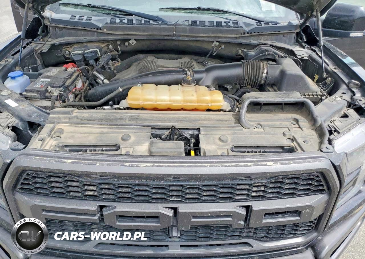 2018 Ford F150 Raptor VIN:1FTFW1RG2JFD74221 - 11