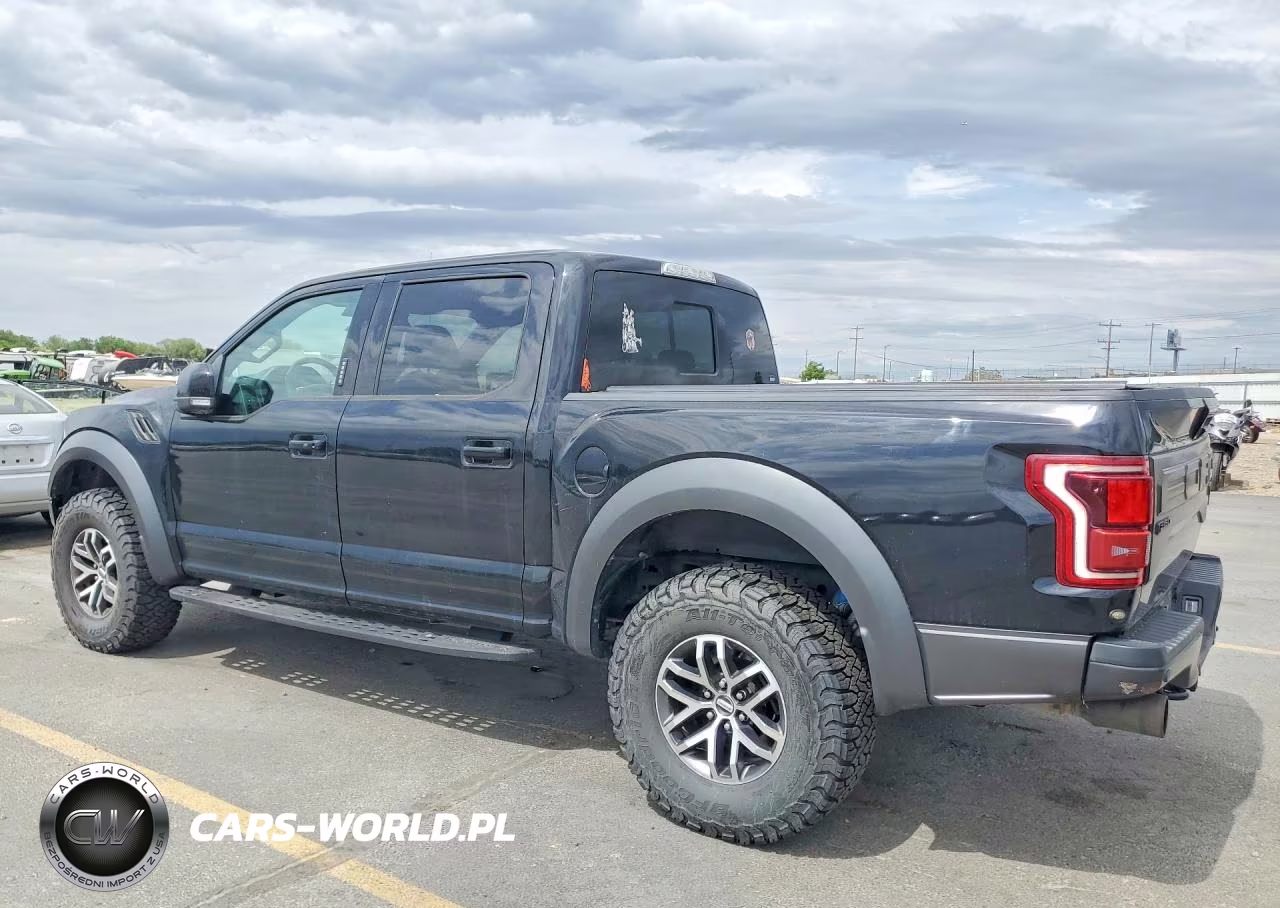 2018 Ford F150 Raptor VIN:1FTFW1RG2JFD74221 - 2
