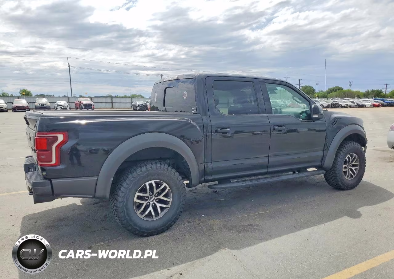 2018 Ford F150 Raptor VIN:1FTFW1RG2JFD74221 - 3