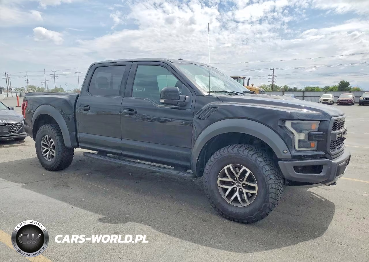 2018 Ford F150 Raptor VIN:1FTFW1RG2JFD74221 - 4