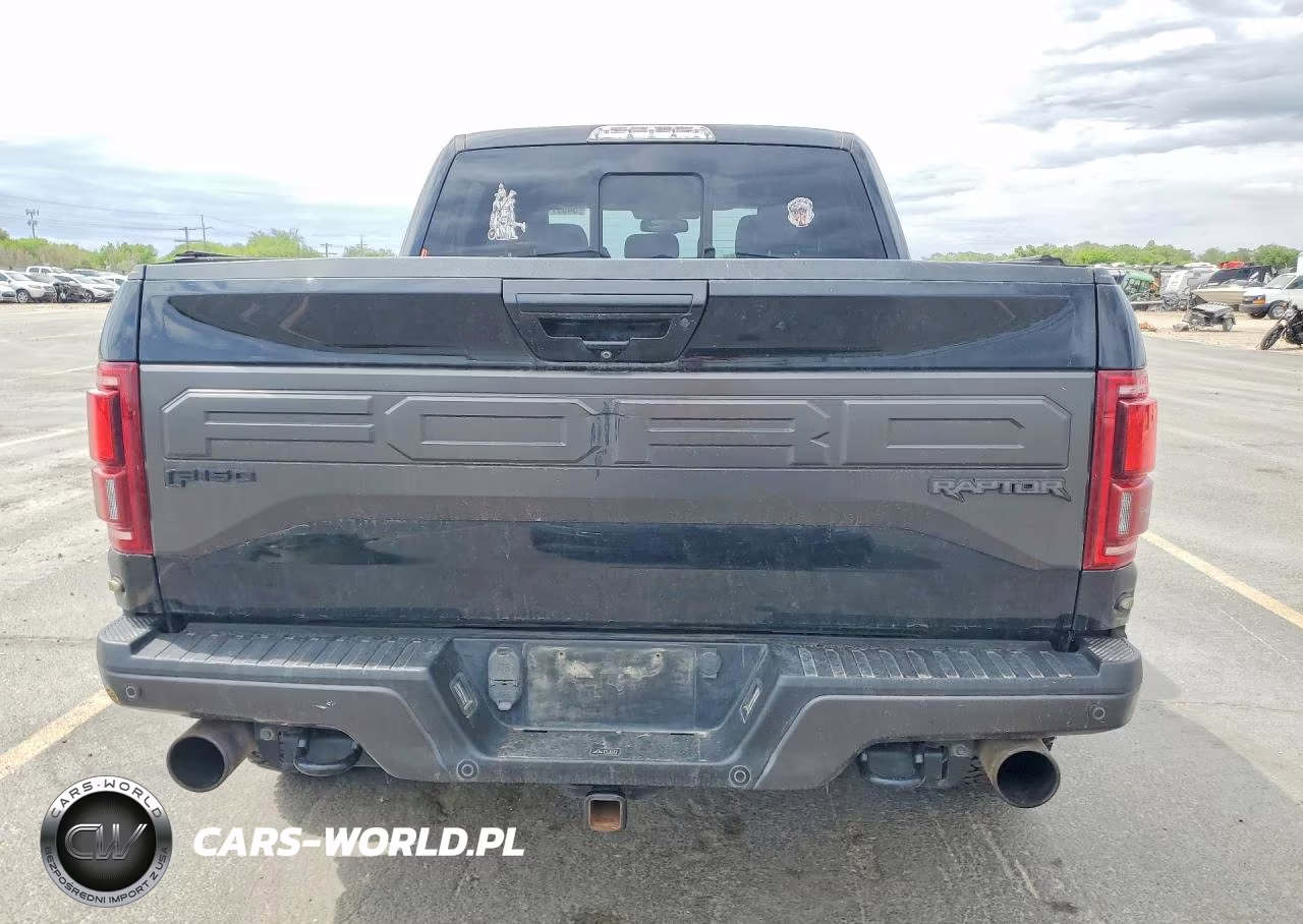 2018 Ford F150 Raptor VIN:1FTFW1RG2JFD74221 - 6