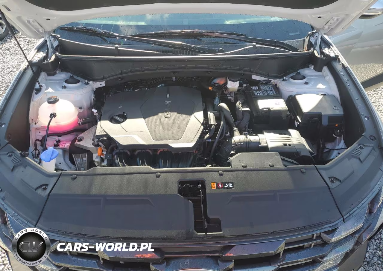 2025 Hyundai Tucson Sel VIN:5NMJC3DE5SH516487 - 12