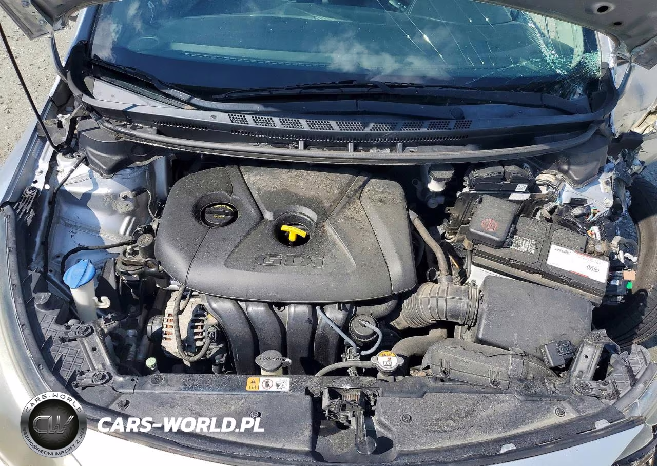 2014 Kia Forte Ex VIN:KNAFX5A89E5195370 - 11