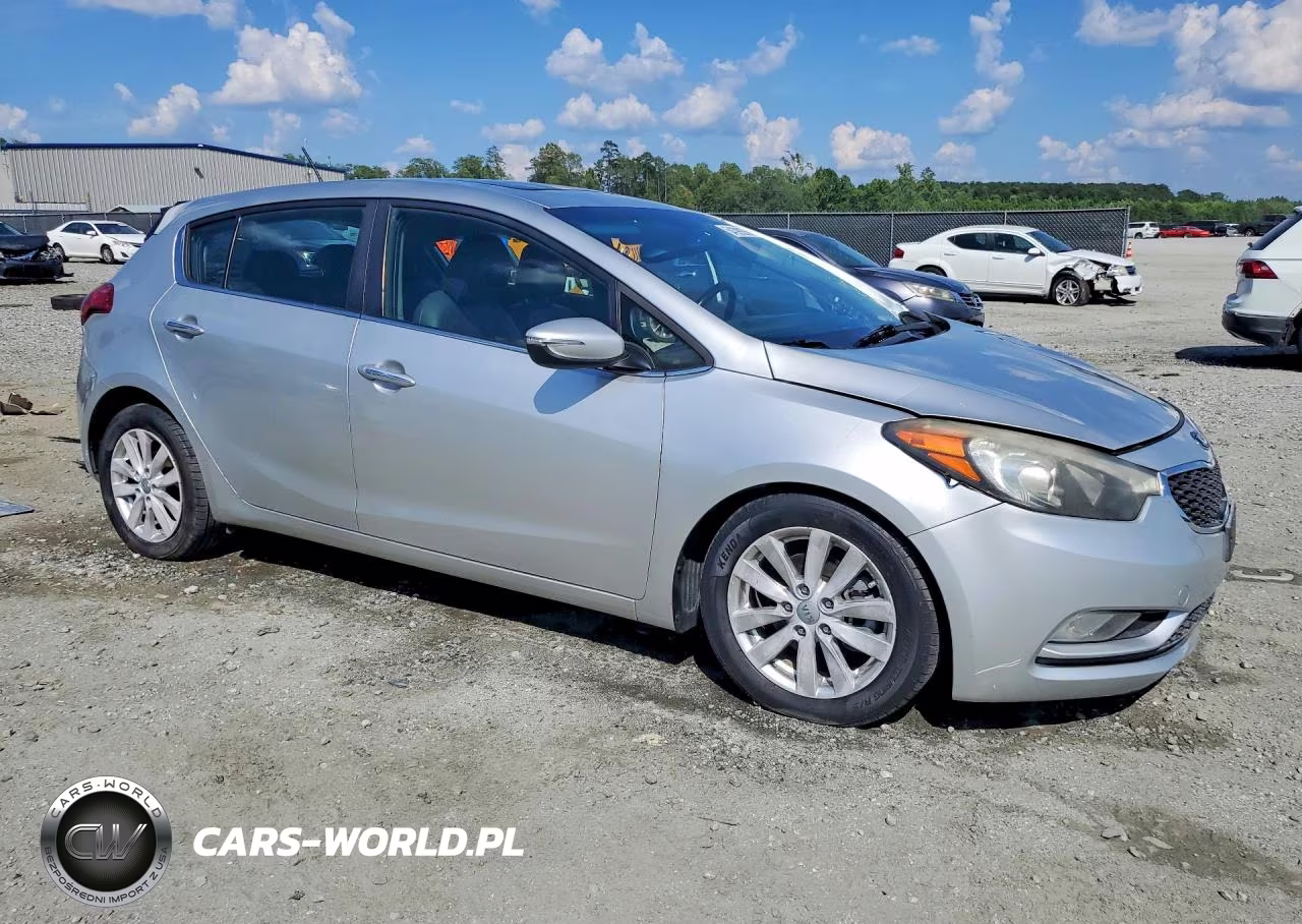 2014 Kia Forte Ex VIN:KNAFX5A89E5195370 - 4