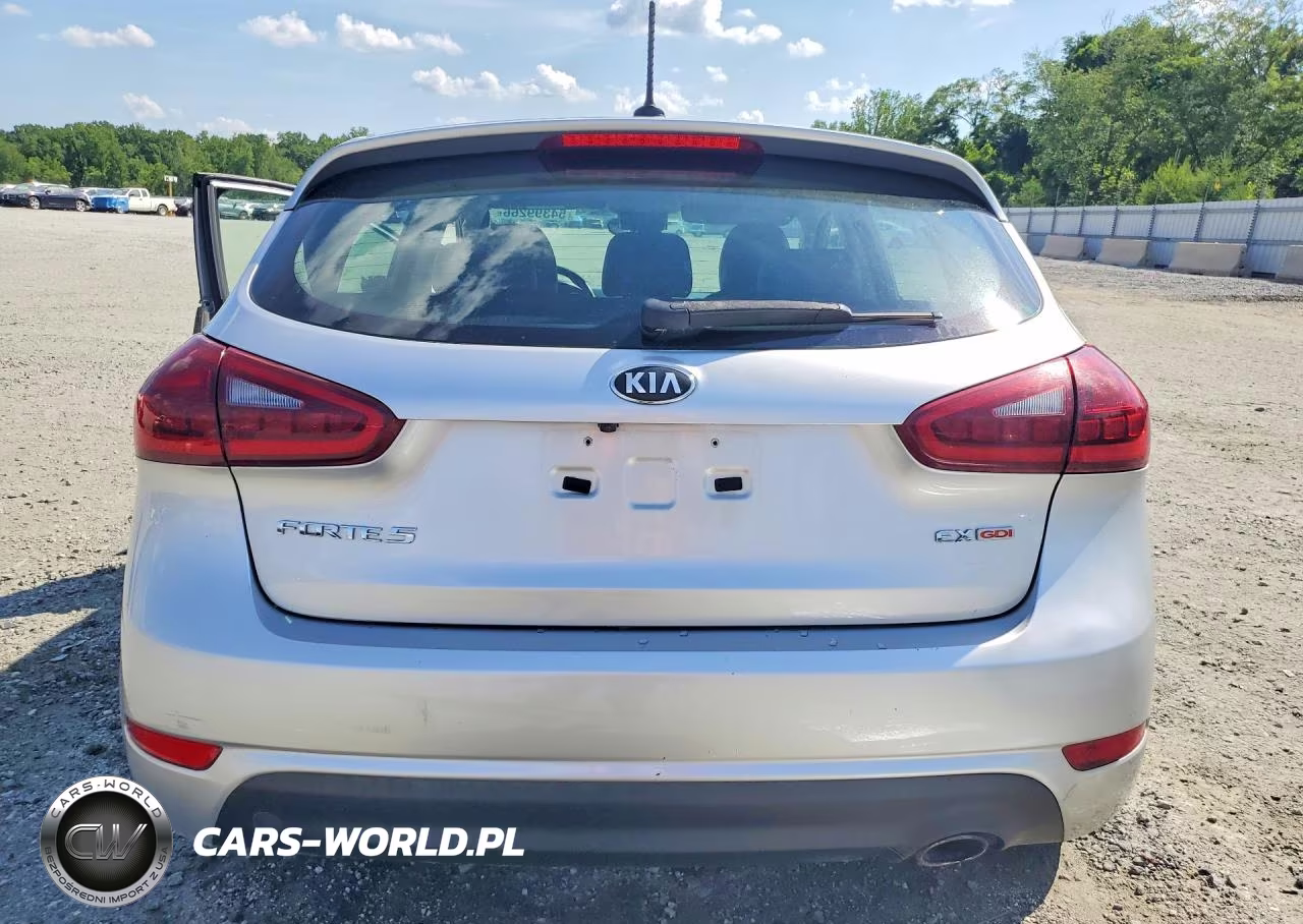 2014 Kia Forte Ex VIN:KNAFX5A89E5195370 - 6
