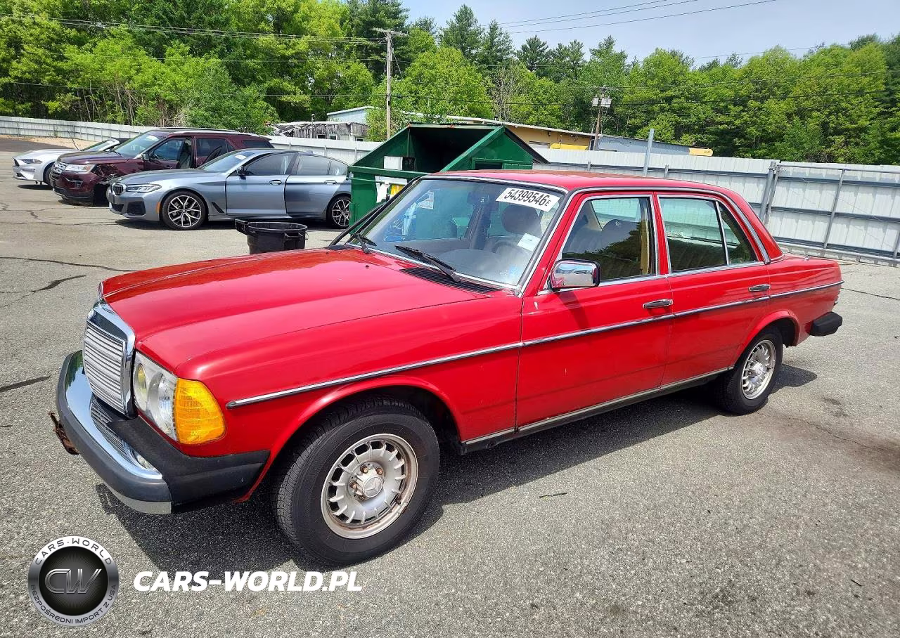 1983 Merz 300-Class