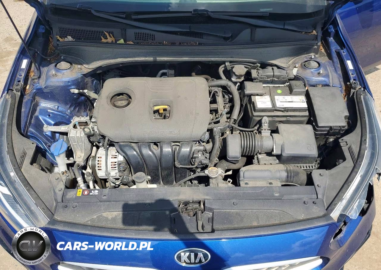2020 Kia Forte Lxs VIN:3KPF24AD9LE206877 - 11