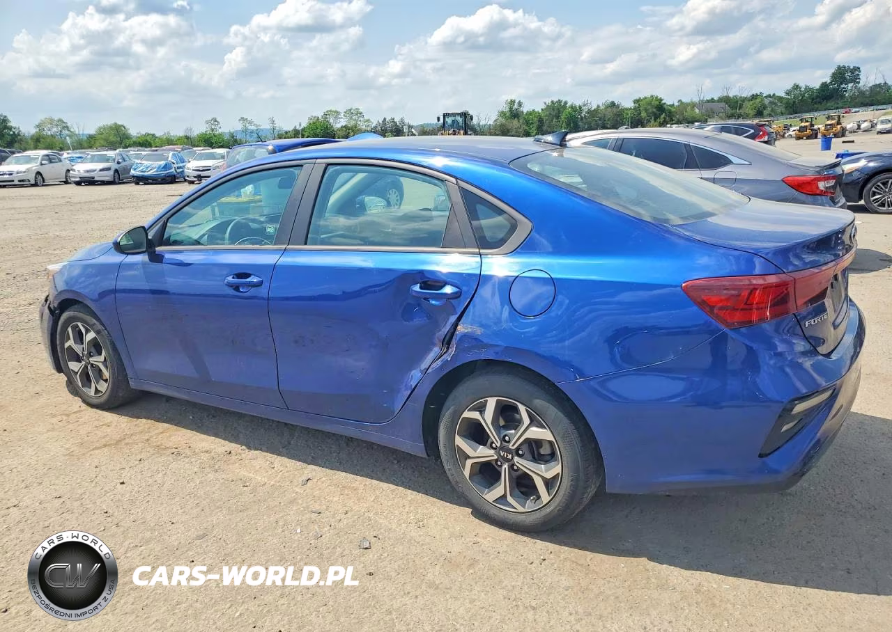 2020 Kia Forte Lxs VIN:3KPF24AD9LE206877 - 2
