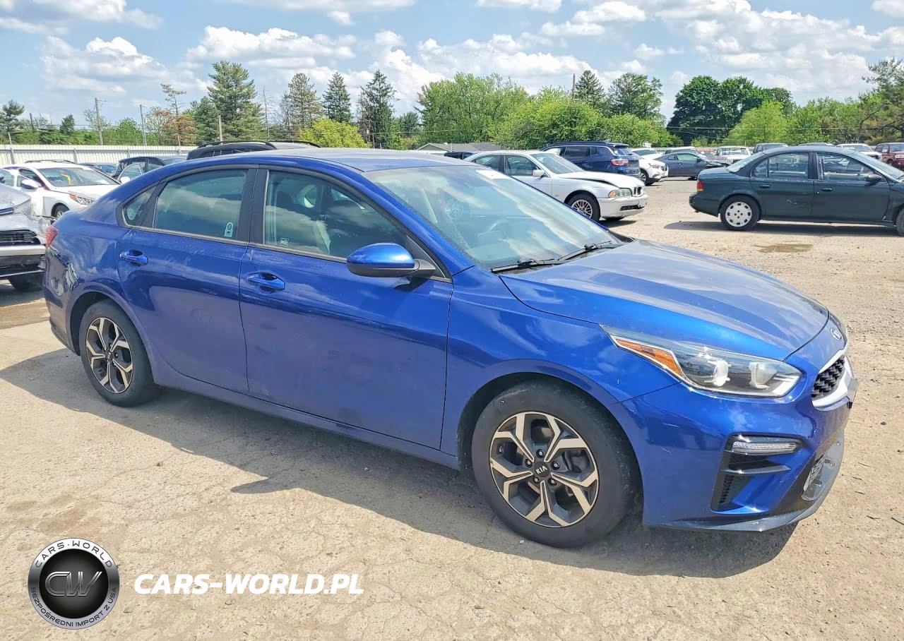 2020 Kia Forte Lxs VIN:3KPF24AD9LE206877 - 4