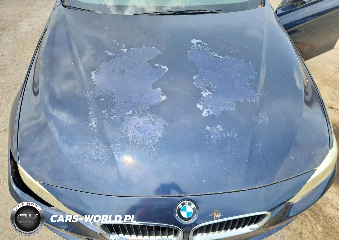 2014 BMW 320 I xDrive VIN:WBA3C3G53ENS70936 - 11