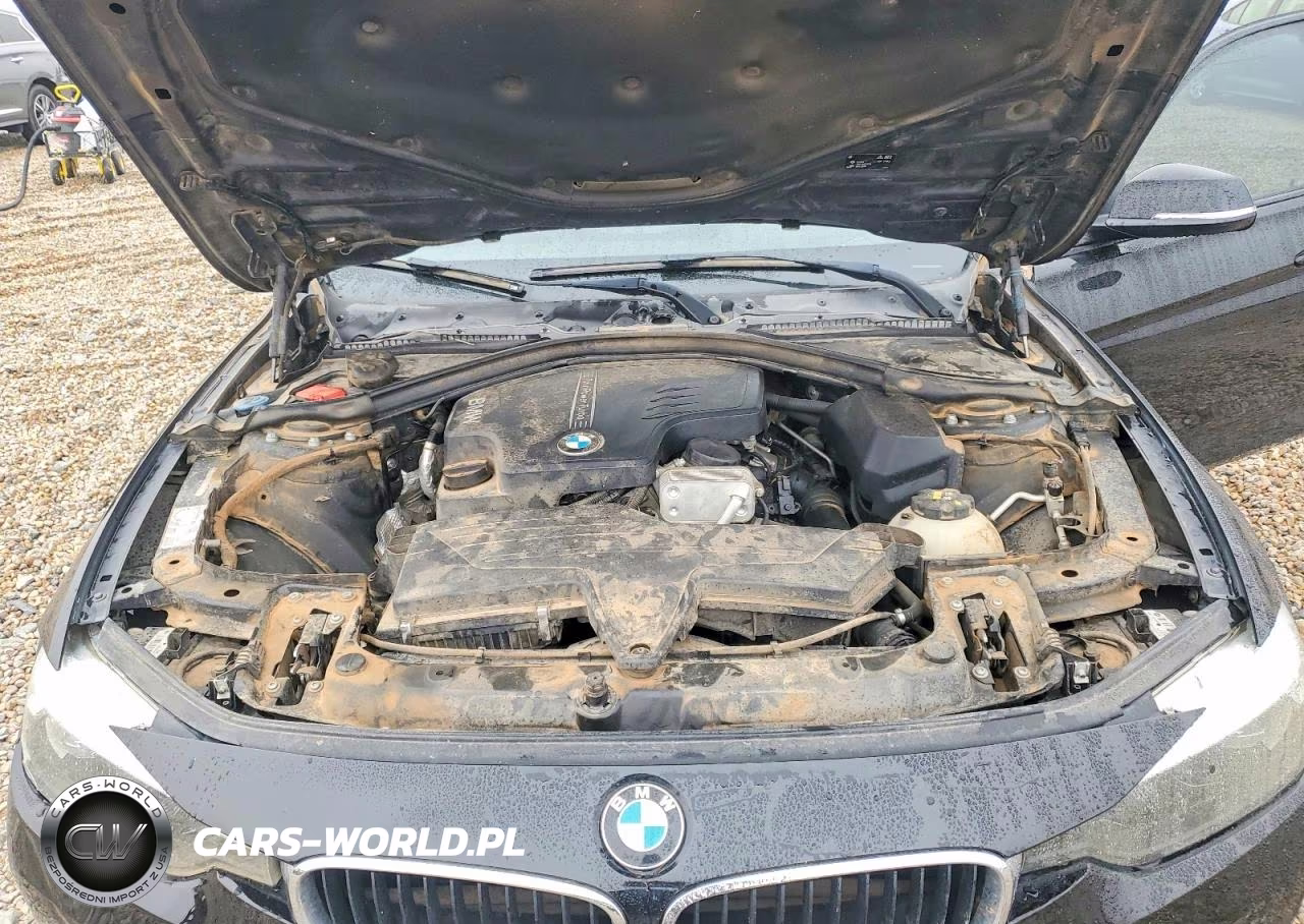 2016 BMW 320 I VIN:WBA8E1G55GNU10802 - 11