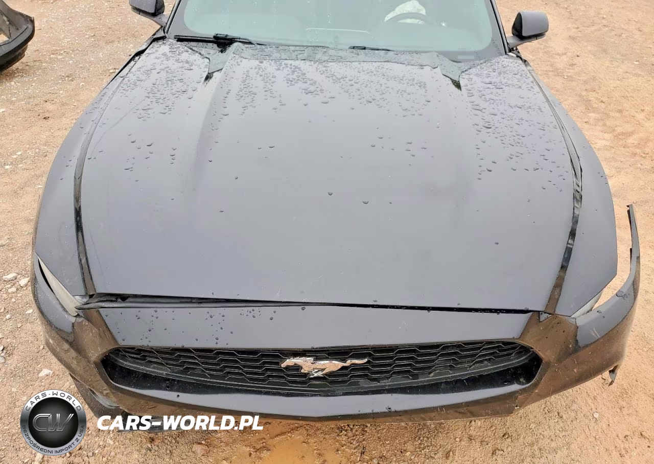 2017 Ford Mustang VIN:1FA6P8TH0H5272087 - 11