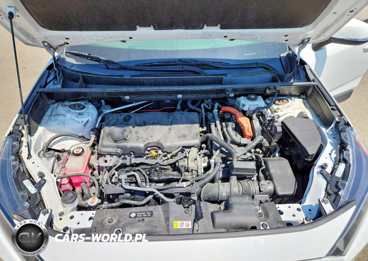 2019 Toyota Rav4 Le VIN:JTMMWRFV6KD016772 - 12