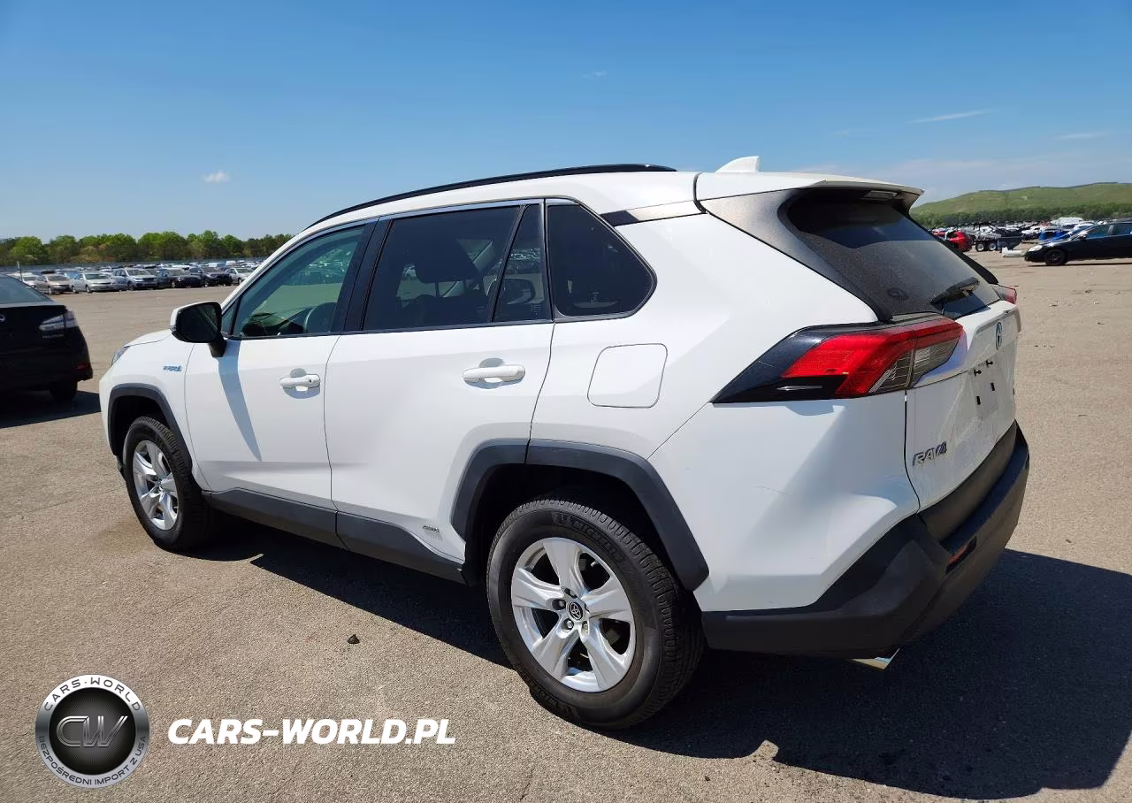 2019 Toyota Rav4 Le VIN:JTMMWRFV6KD016772 - 2