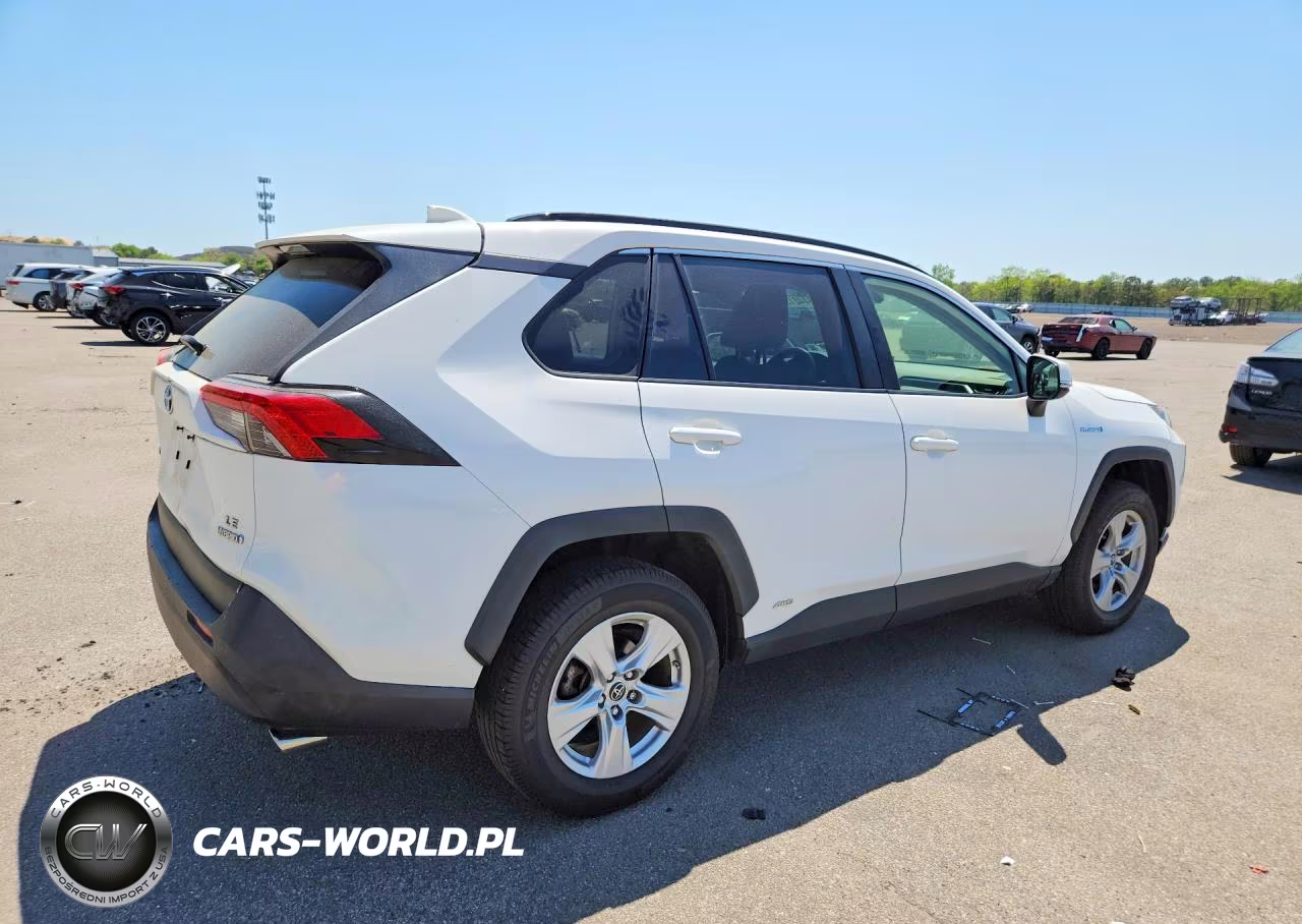 2019 Toyota Rav4 Le VIN:JTMMWRFV6KD016772 - 3